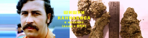 шишки Алексеевка